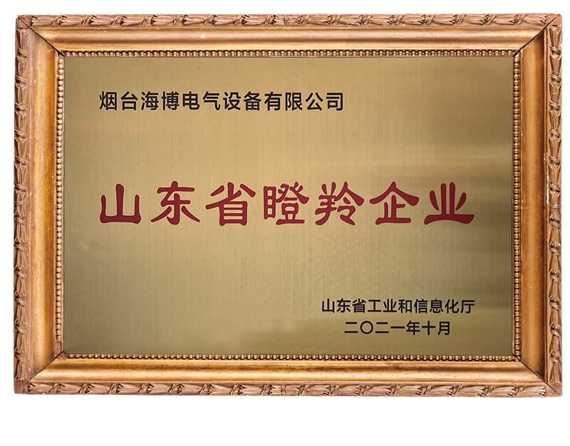 山東省瞪羚企業